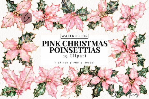 Pink Christmas Poinsettias Clipart Illustrations